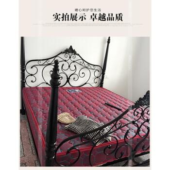 轩凝欧式田园 现代铁艺床钢木床简约双人床铁床铁架床大床 家具 静谧黑 B款 1200mm*1900mm